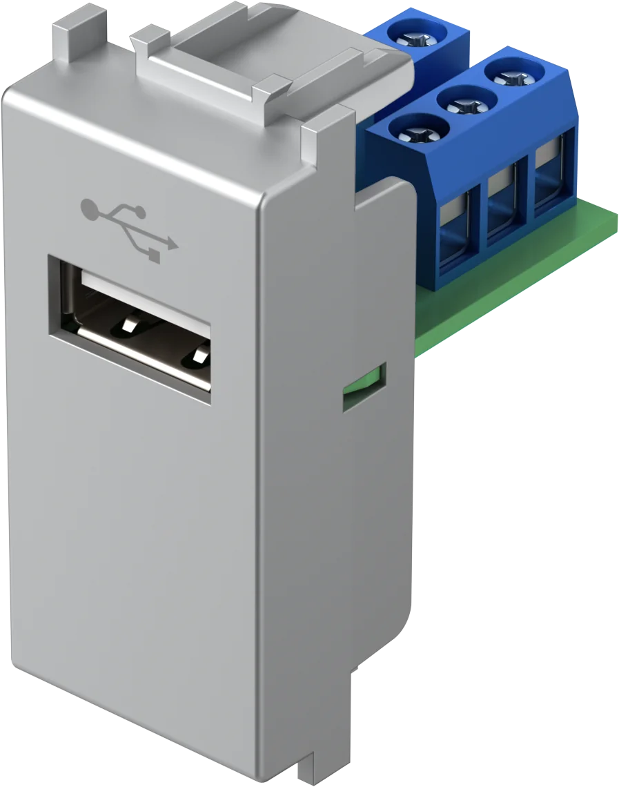Vtičnica Usb TEM MODUL 1M – srebrna mat (elox)