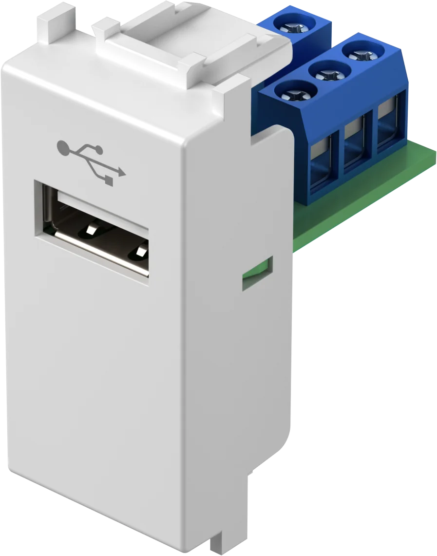 Vtičnica Usb TEM MODUL 1M – bela sijaj