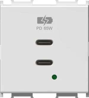 Vgradni USB polnilnik TEM MODUL EM6B z dvema priključkoma USB-C, Power Delivery 65 W, 2M, barva bela sijaj (EM6BPW-U) – pogled od spredaj