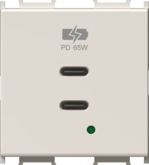 Vgradni USB polnilnik TEM MODUL EM6B z dvema priključkoma USB-C, Power Delivery 65 W, 2M, barva bež mat (EM6BMI-U) – pogled od spredaj