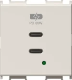 Vgradni USB polnilnik TEM MODUL EM6B z dvema priključkoma USB-C, Power Delivery 65 W, 2M, barva bež sijaj (EM6BIW-U) – pogled od spredaj